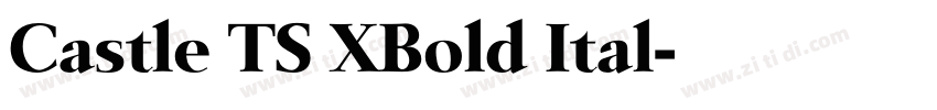 Castle TS XBold Ital字体转换 Castle TS XBold Ital字体转换